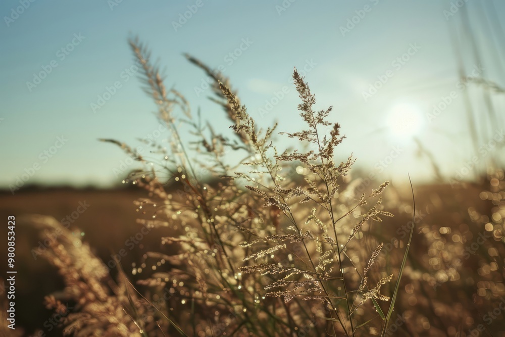 Fototapeta premium Wind turbines landscape grassland sunlight.