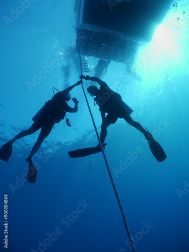 Wallpaper Mural scuba divers ascending descending on the line of boat rope underwater blue ocean scenery Torontodigital.ca