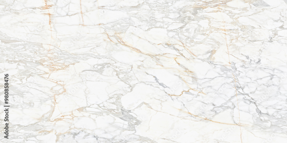 Creative pattern stone ceramic wallpaper design. White marble Creative pattern stone ceramic wallpaper design. White marble