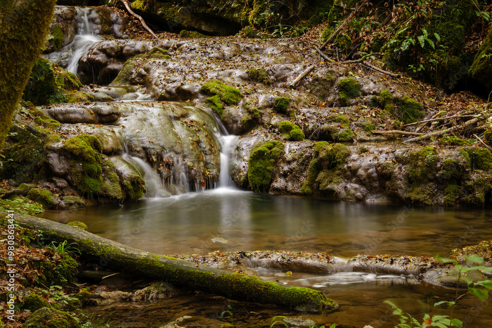 Fototapeta premium Divji potok stream in Bela krajina, Slovenia