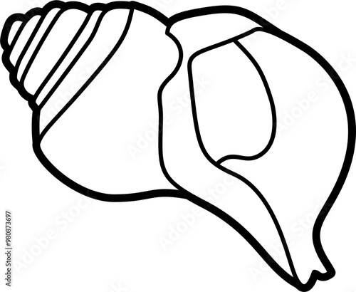Whelk shell outline illustration vector