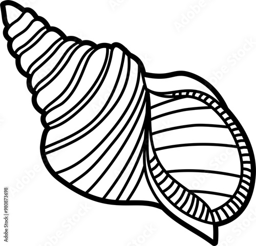Triton shell outline illustration vector