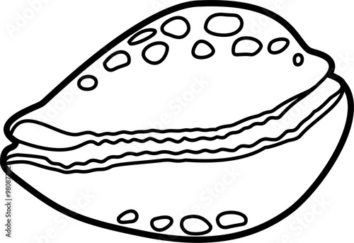 Cowrie shell outline illustration vector photo