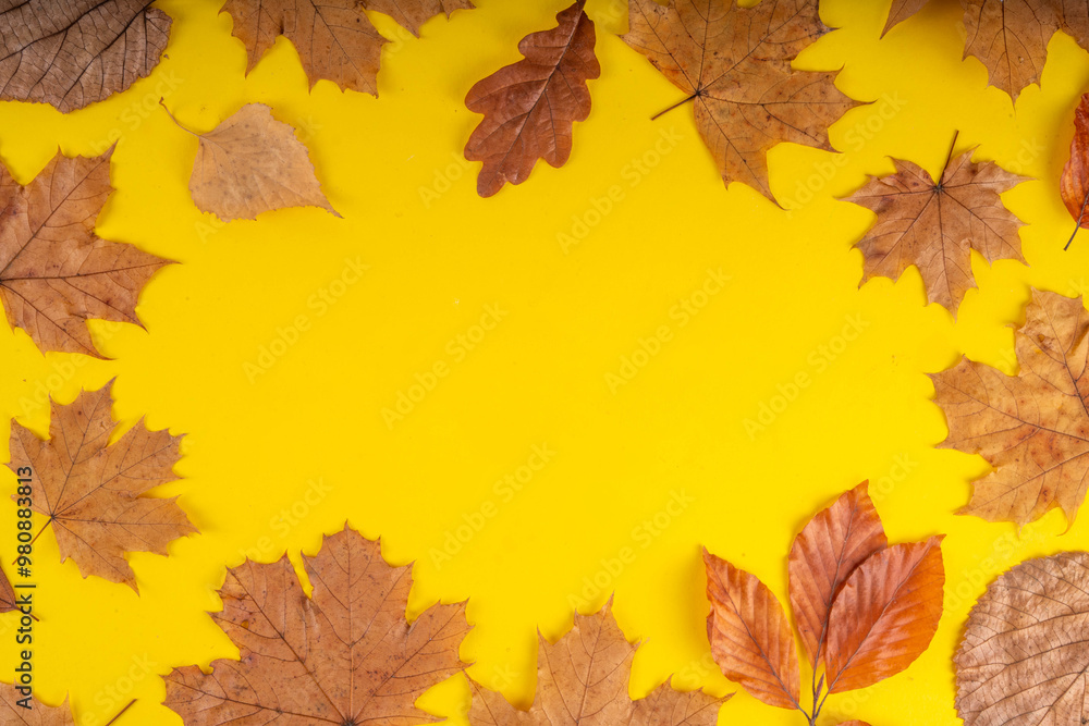 Fototapeta premium Minimal sparse autumn background with fall leaves
