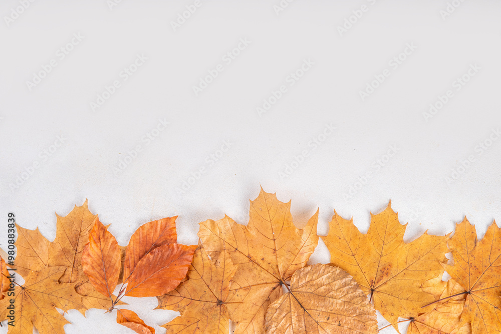 Minimal sparse autumn background with fall leaves Minimal sparse autumn background with fall leaves