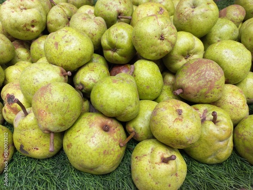 Photography The pear is a sweet-tasting pip fruit of which there are two thousand varieties