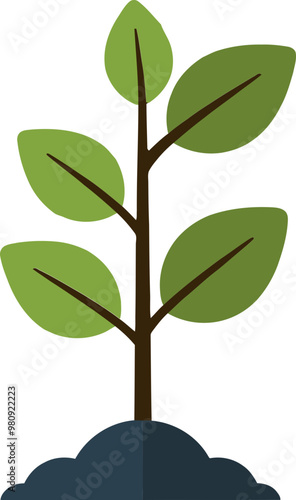 새싹 식물  클립아트 일러스트레이션