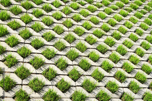 Polymer-sanded lawn grating for the construction of eco-parks