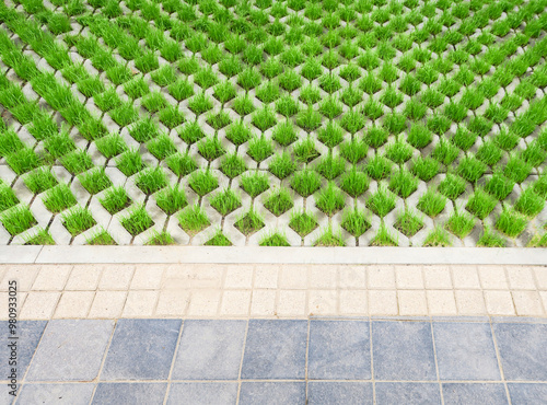Polymer-sanded lawn grating for the construction of eco-parks