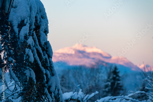 Frozen tree branch with sunrise view of majestic snow-capped mountain peak Dobratsch in Carinthia, Austria, Europe. Alpine winter wonderland landscape at dawn in serene Austrian Alps. First sun beams photo