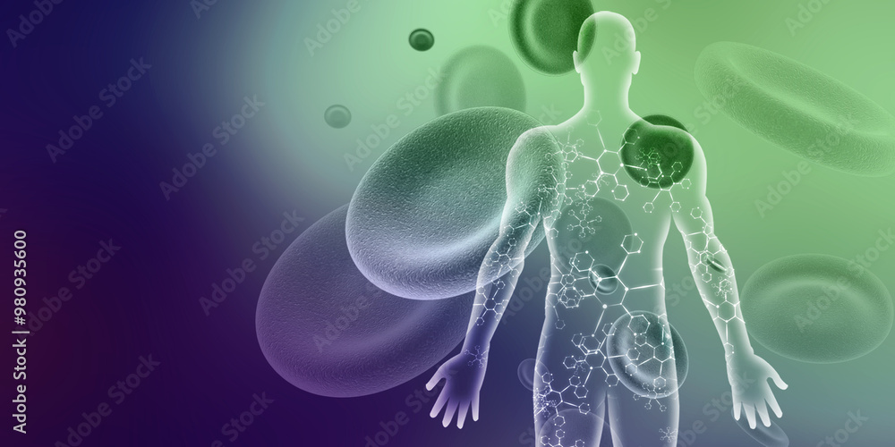 2d illustration Human Male Muscle Body
2d illustration Human Male Muscle Body