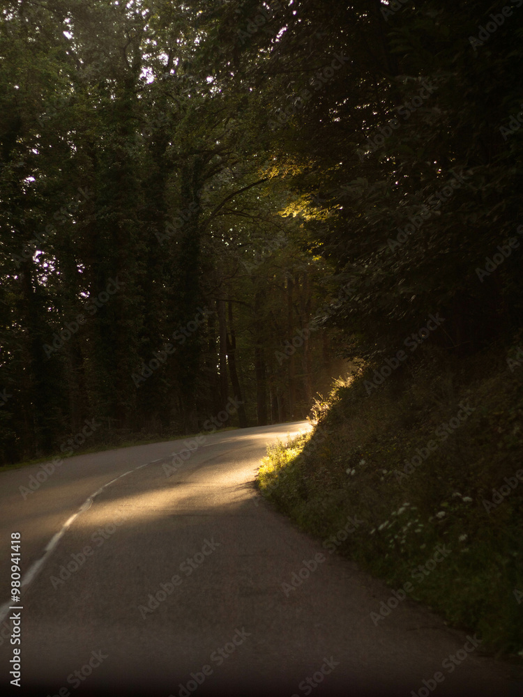 Fototapeta premium Routes de montagne en alsace au coucher de soleil