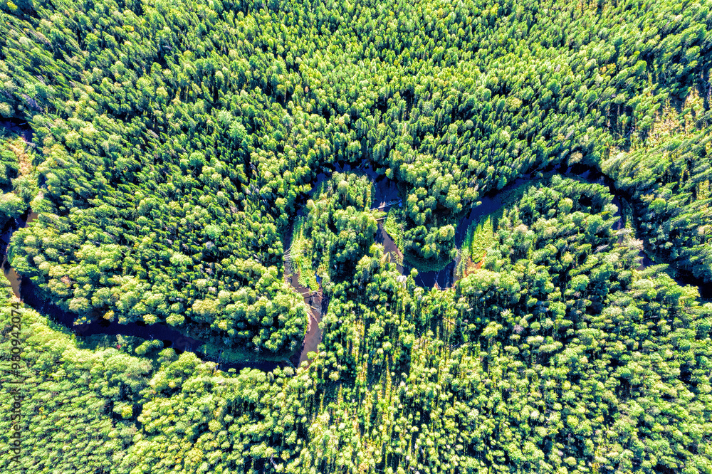Forest with a winding river. Aerial photography with a drone. Forest with a winding river. Aerial photography with a drone.