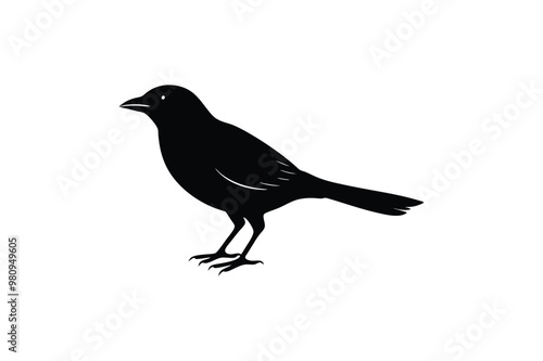 Cute Myna  Bird  vector art and illustration