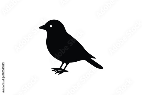 Cute Myna Bird vector art and illustration