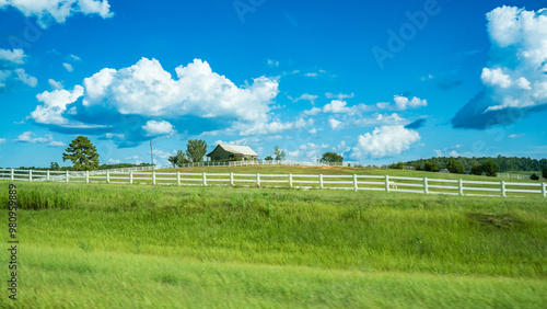 Beautiful meadow under blue sky and white cloud. A peaceful view of country side with white fence, castles are left free range, feeding on grass. Tranquil and serenity feeling. Wallpaper or background