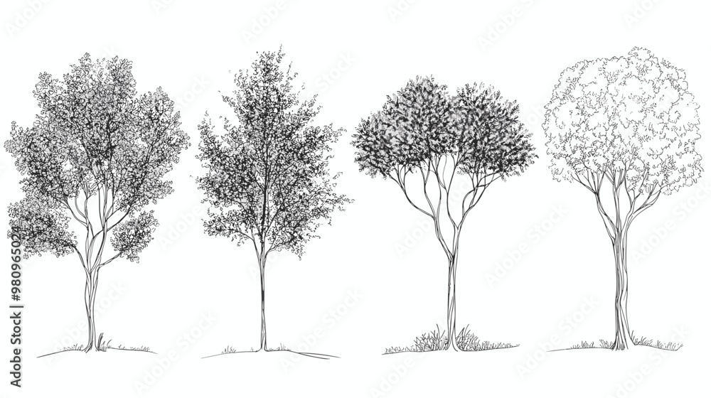 Architectural Drawings, Minimal style cad tree line drawing, Side view, set of graphics trees elements outline symbol for landscape design drawing. Vector illustration
