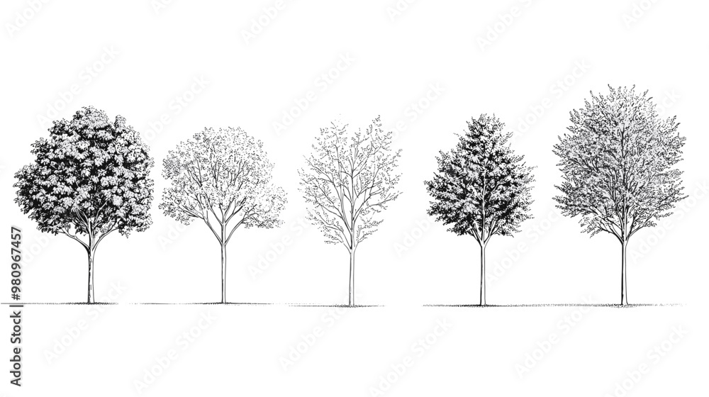 Architectural Drawings, Minimal style cad tree line drawing, Side view, set of graphics trees elements outline symbol for landscape design drawing. Vector illustration