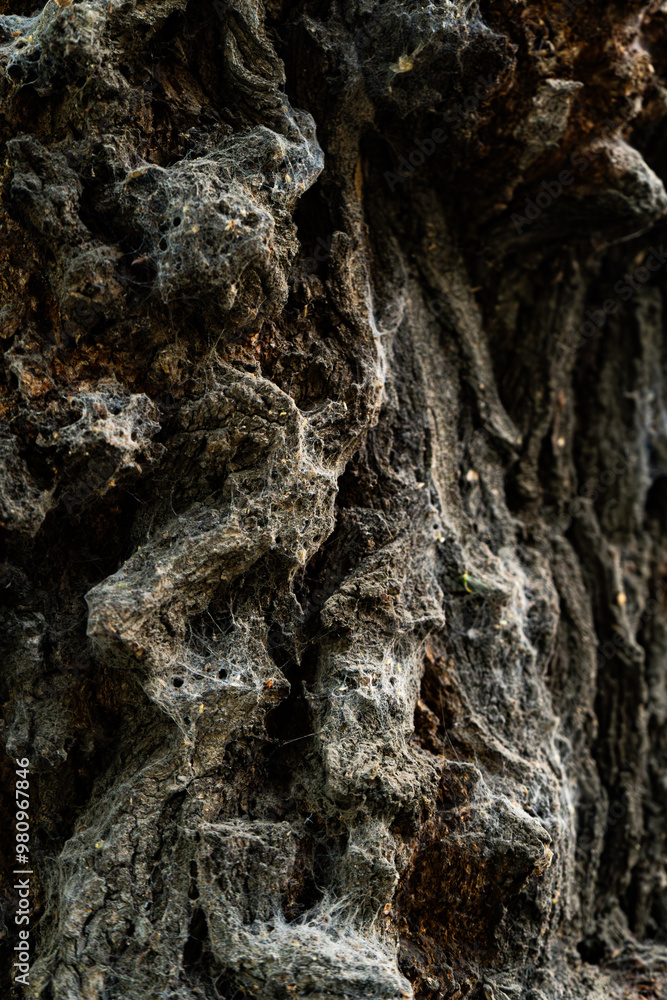 A detailed close-up of rugged tree bark showcasing the natural textures and patterns formed over time. This image highlights the beauty of organic materials and is ideal for use in nature-related desi A detailed close-up of rugged tree bark showcasing the natural textures and patterns formed over time. This image highlights the beauty of organic materials and is ideal for use in nature-related desi