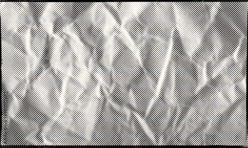 Abstract Textured Dotted Halftone Retro Paper Print Texture Frame Vector Wallpaper
