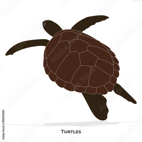 tortoise icon, animal silhouette vector
