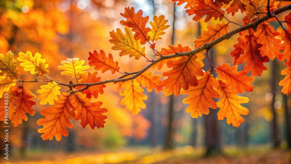 Oak branch with vibrant orange leaves in autumn forest background, oak, branch, orange, leaves, autumn, forest, nature Oak branch with vibrant orange leaves in autumn forest background, oak, branch, orange, leaves, autumn, forest, nature