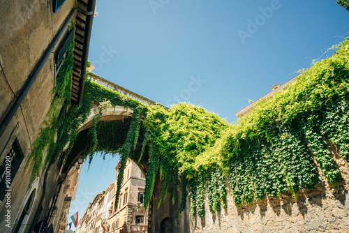 View of the Arco Farnese , Arch Farnese in Via Giulia, Rome, Italy - may 2 2024