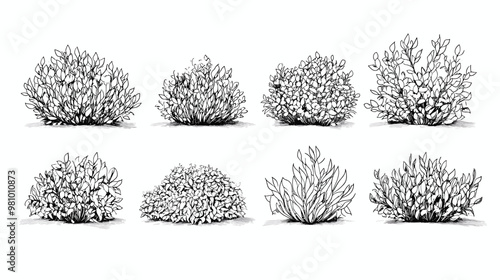 Set of vector bush illustrations on a white background. Architectural Drawings, Minimal style cad bush drawing, Side view, set of graphics bushes elements outline symbol for landscape design drawing