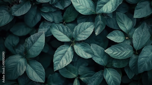 Wallpaper Mural background Torontodigital.ca