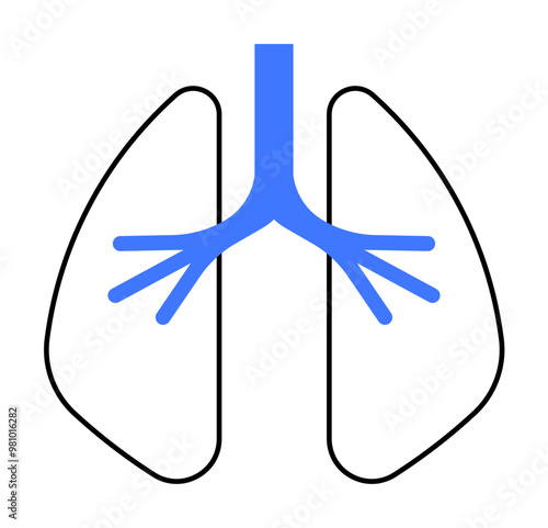 Simplified drawing of the lungs in black lines and bronchial tree in blue. Ideal for anatomy, medical studies, respiratory health, biology education, and healthcare communication. Simple, vector style