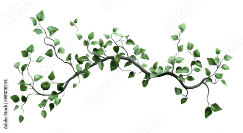 Green Vine with Lush Leaves on a Transparent Background