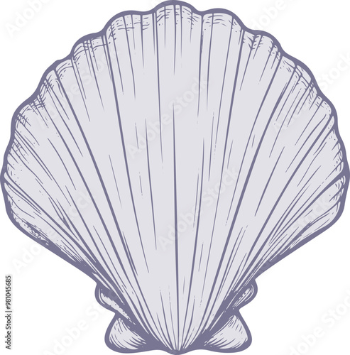 Sea shell clipart design illustration