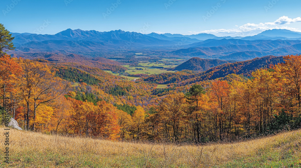 Fototapeta premium Autumn outdoor nature scenery in illustration style