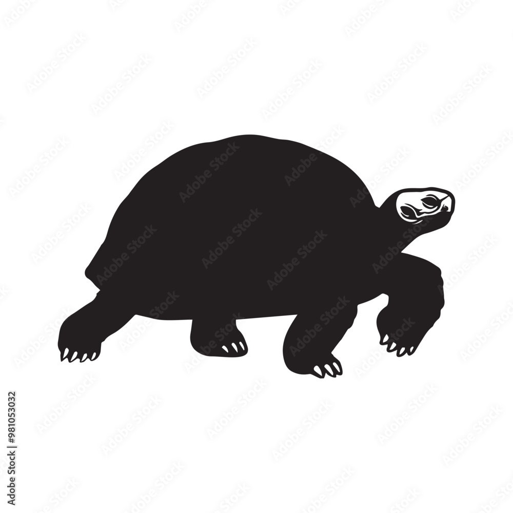 Tortoise Outline design Clipart - Testudinidae vector illustration in black and white
Tortoise Outline design Clipart - Testudinidae vector illustration in black and white