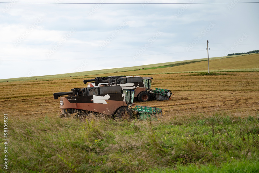 Combine harvesters working in a field with grassy foreground. Combine harvesters working in a field with grassy foreground.