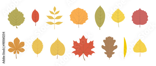 Autumn leaves from different trees isolated on a white background. Set, collection. Red, yellow, orange leaves, design elements in flat style. Vector illustration, icon set.