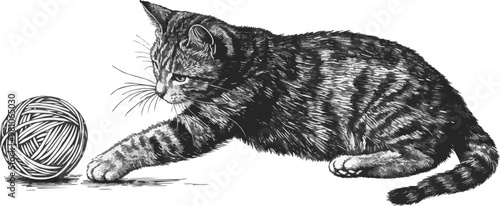 Cat playing with a ball of yarn sketch engraving vector illustration. Scratch board imitation. Black and white image. Vector illustration