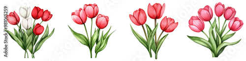 A vibrant collection of tulip flowers showcasing various colors and arrangements, perfect for spring-themed designs.