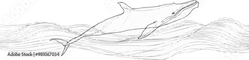 Continuous one line drawing whale breaching on a white background. vector illustration.
