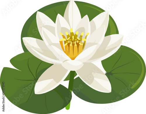 Elegant water lily icon flat on white isolated background, vector design.