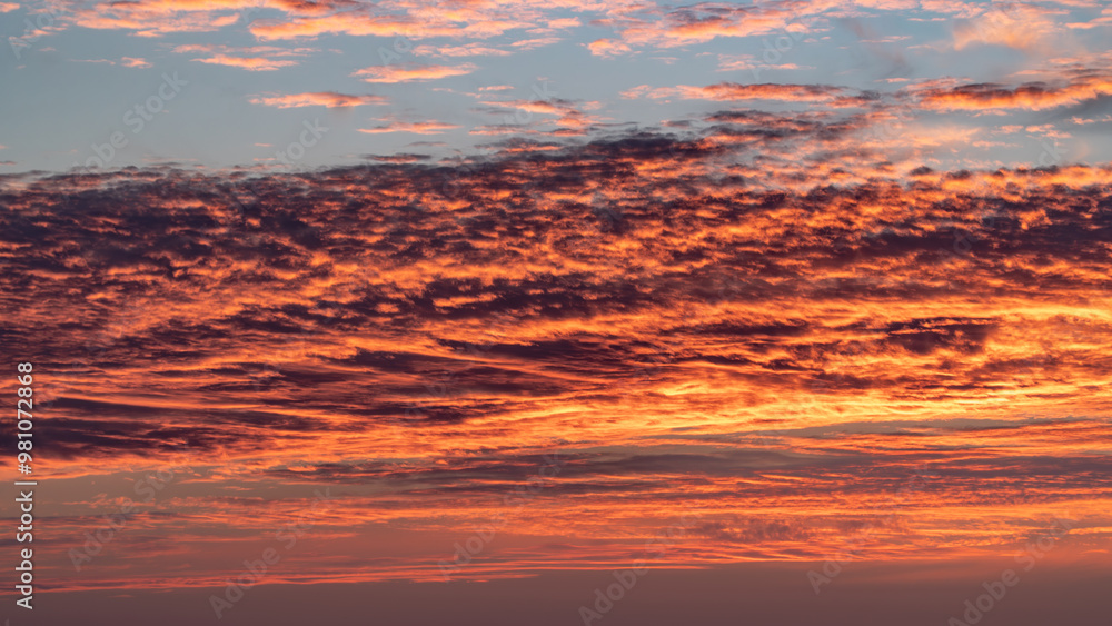 Fototapeta premium Sunset sky. Cirrocumulus and cirrostratus clouds during sunset. Beautiful dramatic sunset sky background