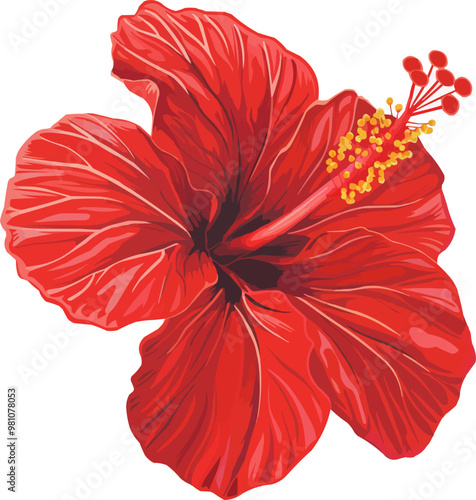 Tropical hibiscus icon flat on white isolated background, vector design