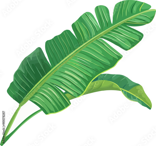 A green leafy plant with a long stem. The leaf is green and has a slightly curved shape