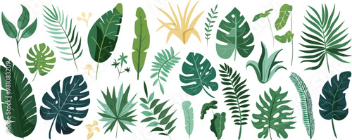 Exotic jungle greenery elements, Vector flat minimalistic isolated illustration