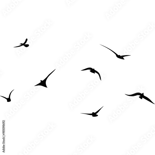 A Flock of Flying Birds