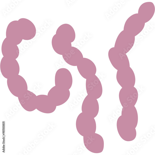 Streptococcus Pneumonia Bacteria