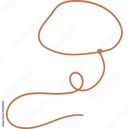 Lasso Illustration