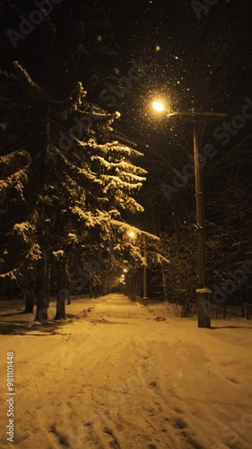 Night winter park in snowfall. Yellow lighting from a lamppost. Slow motion. Winter background, screensaver	