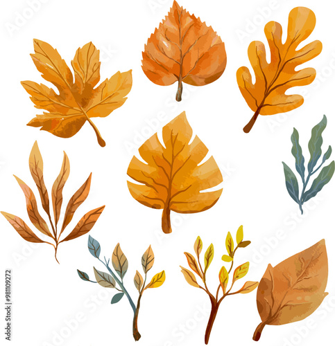 set of leaves with watercolor style in auntumn colors photo