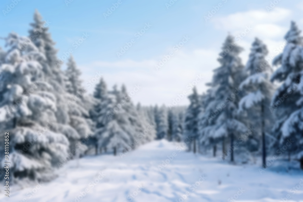 Blurred snowy pine forest backdrop, natural light Blurred snowy pine forest backdrop, natural light